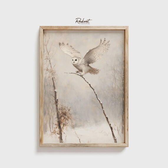 Barn Owl Landing on Snowy Branch Winter Wildlife Watercolor Poster