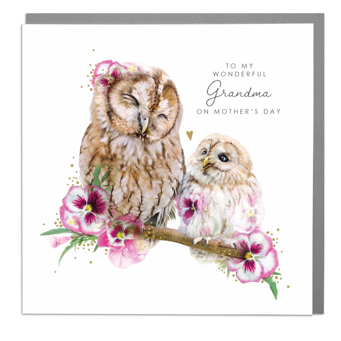 To My Wonderful Grandma Mother's Day Owls Floral Poster Card