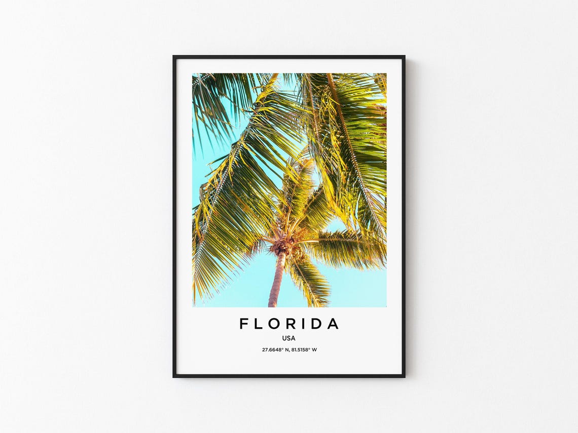 Florida USA Tropical Palm Fronds Under Bright Blue Sky Poster
