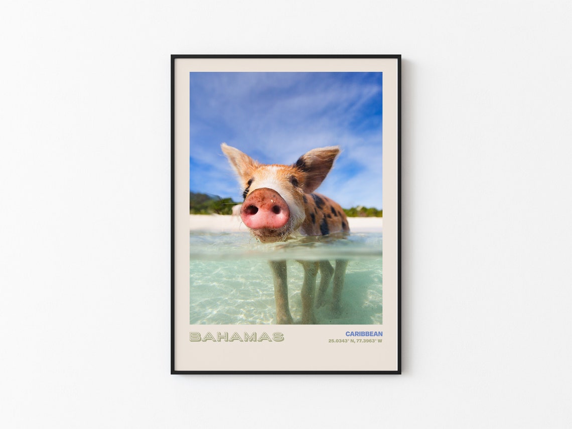 Bahamas Travel Poster Bahamas Print Bahamas Photo Print Bahamas Wall Decor Bahamas Travel Art Bahamas Bahamas Picture Bahamas 3 - Image 3