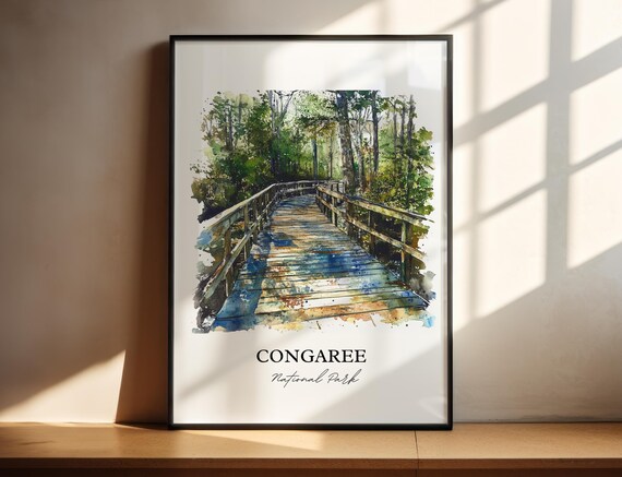 Congaree National Park South Carolina Shaded Boardwalk Art Poster