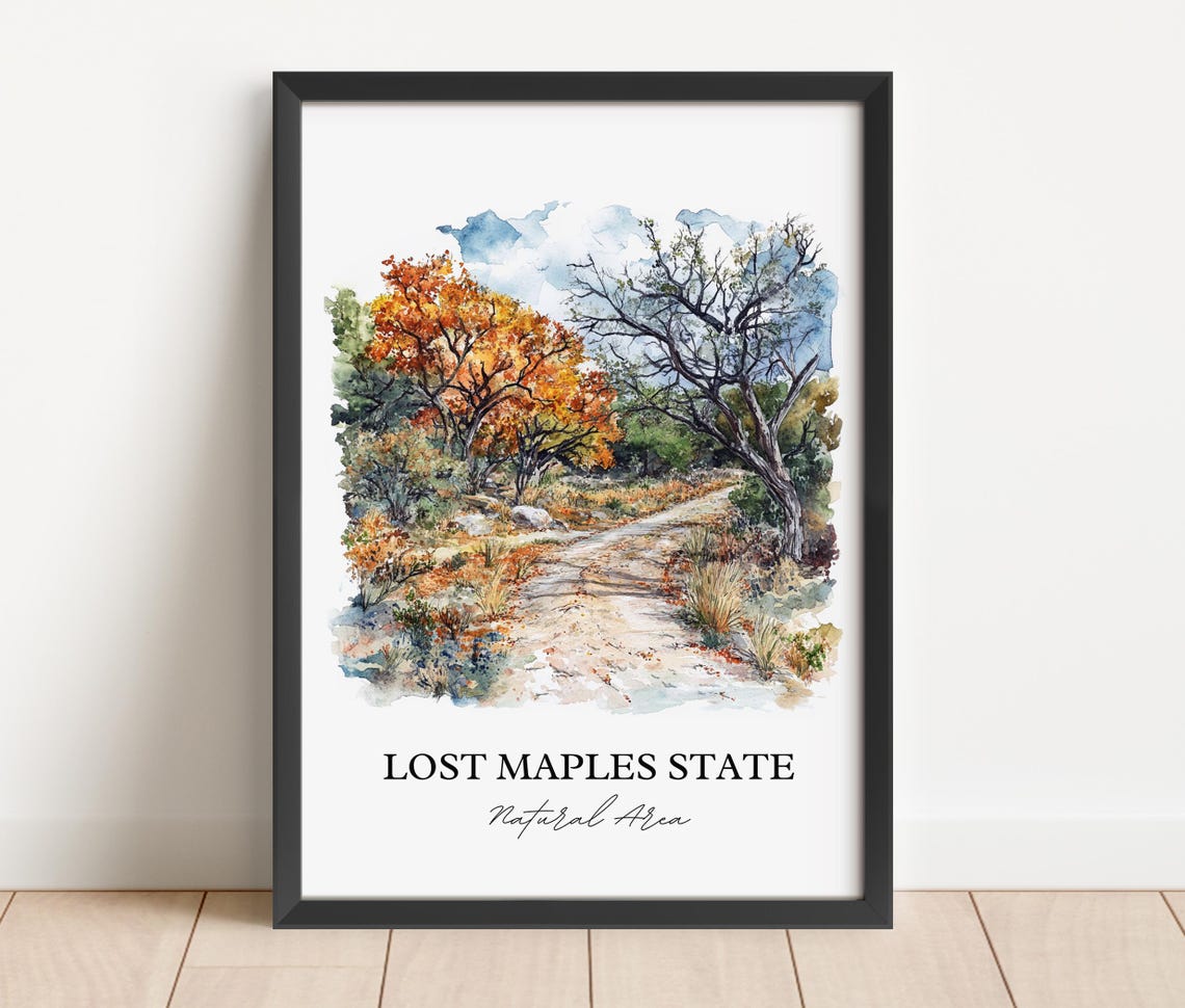 Lost Maples State Natural Area Texas Autumn Trail Watercolor Poster - Image 5