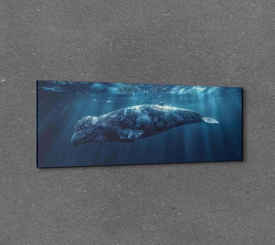 Humpback Whale Gliding Through Sunlit Deep Blue Ocean Panoramic Poster - Image 6