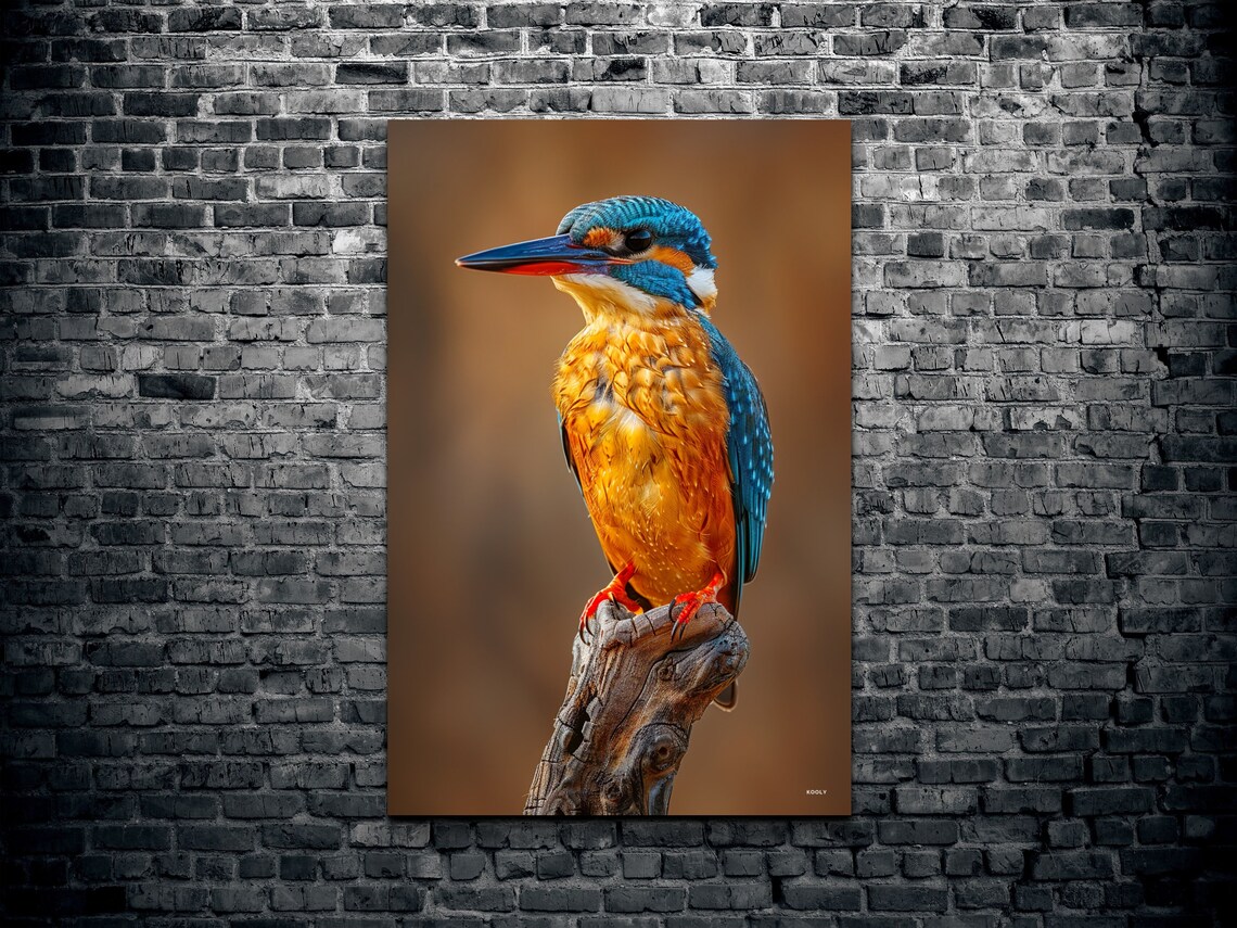 Namibia Malachite Kingfisher Art Print, Bird Nature - Image 2