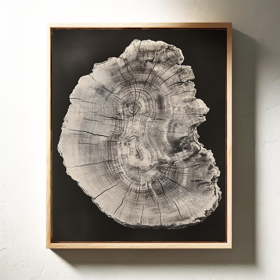Vintage Tree Ring Art Print, Rustic Nature Decor - Image 3