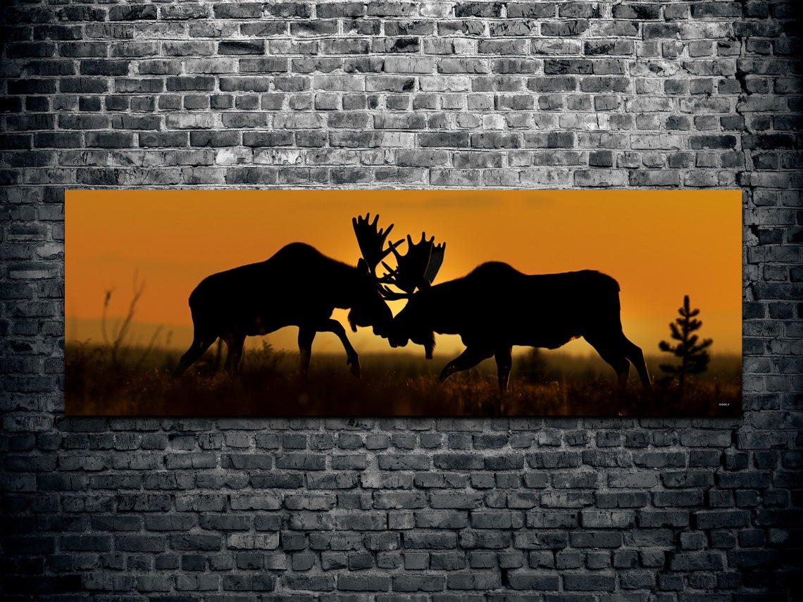 Clashing Moose at Sunset Wildlife Silhouette Panorama Wall Art - Image 7