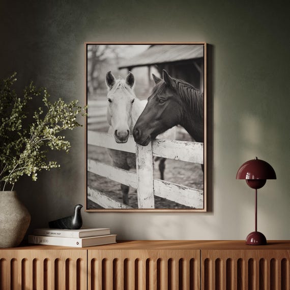 Black And White Horses By Fence Rustic Country Farmhouse Art