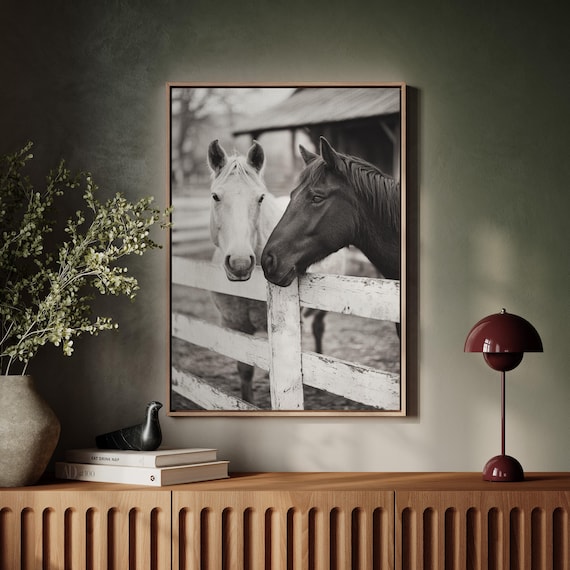 Two Horses at a White Fence Rustic Black and White Farmhouse Print
