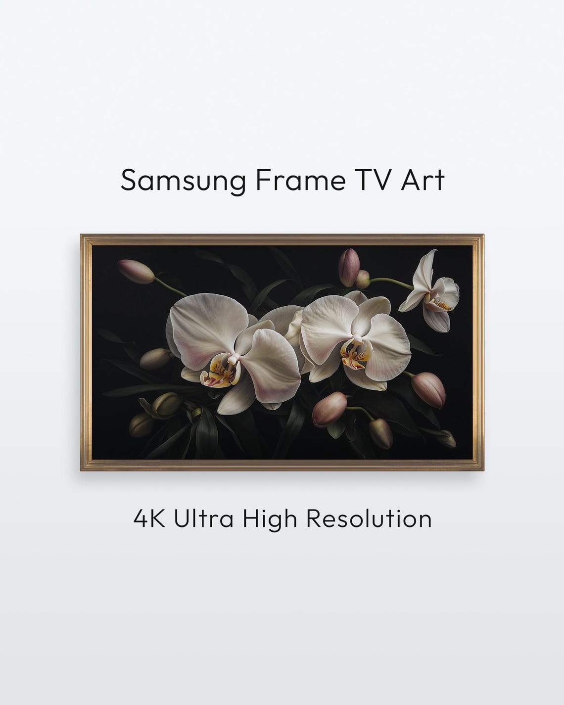 Orchid Flower Samsung Frame Tv Dark And Moody Floral Art 4k Print