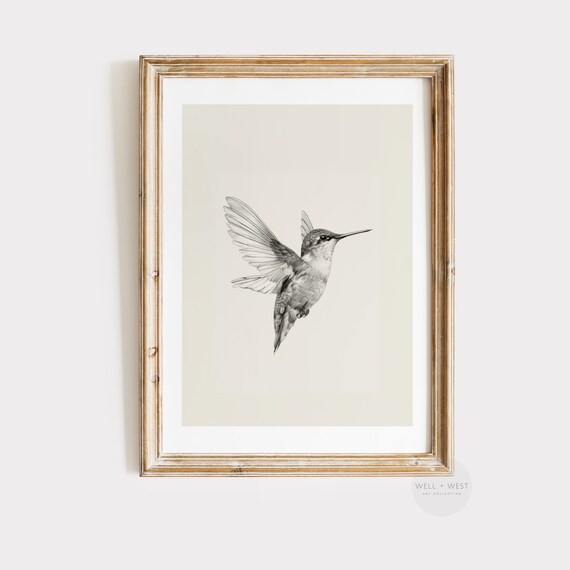 Hummingbird Sketch Vintage Bird Nursery Art Print