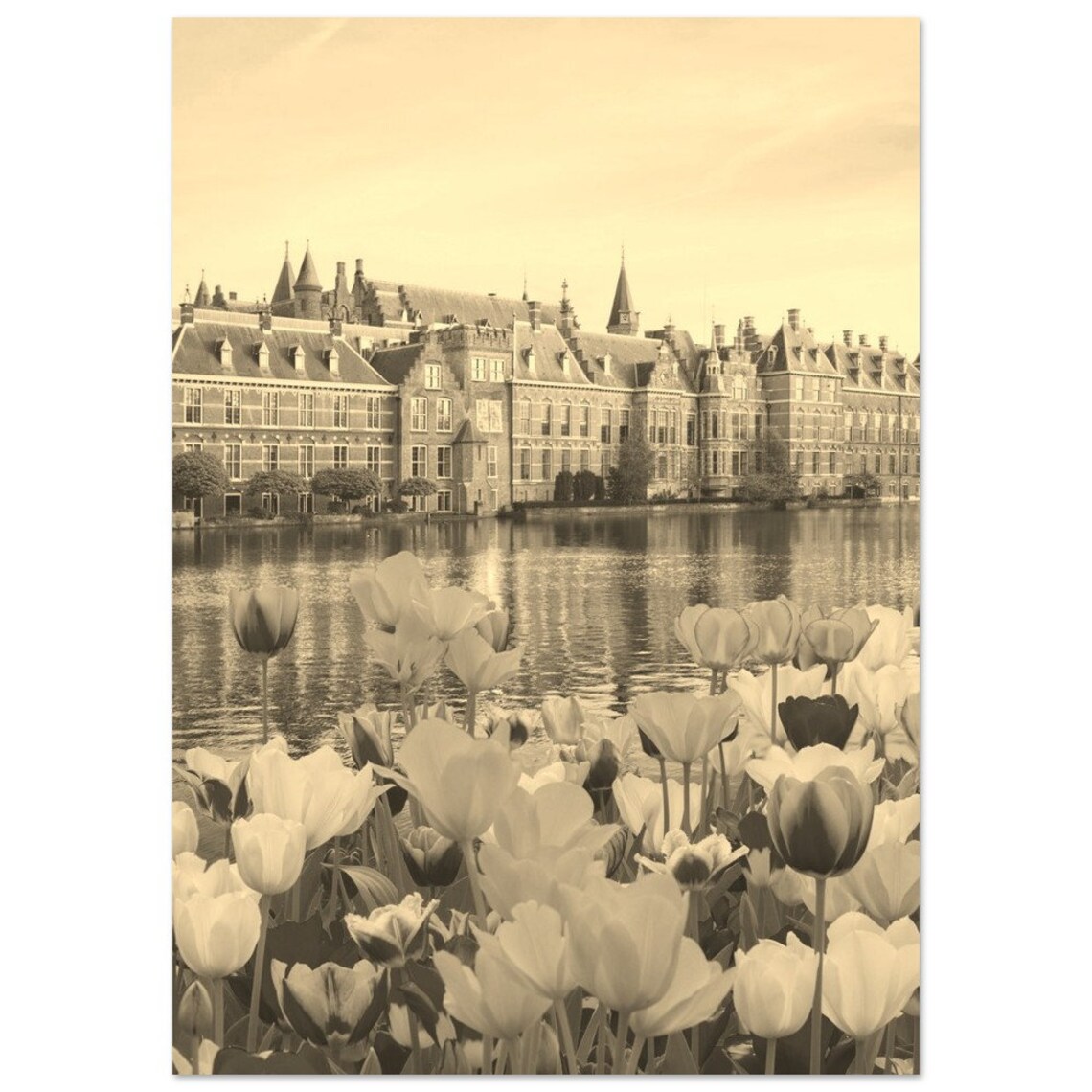 The Hague Netherlands Tulips Parliament Lake Sepia Vintage Photo Print