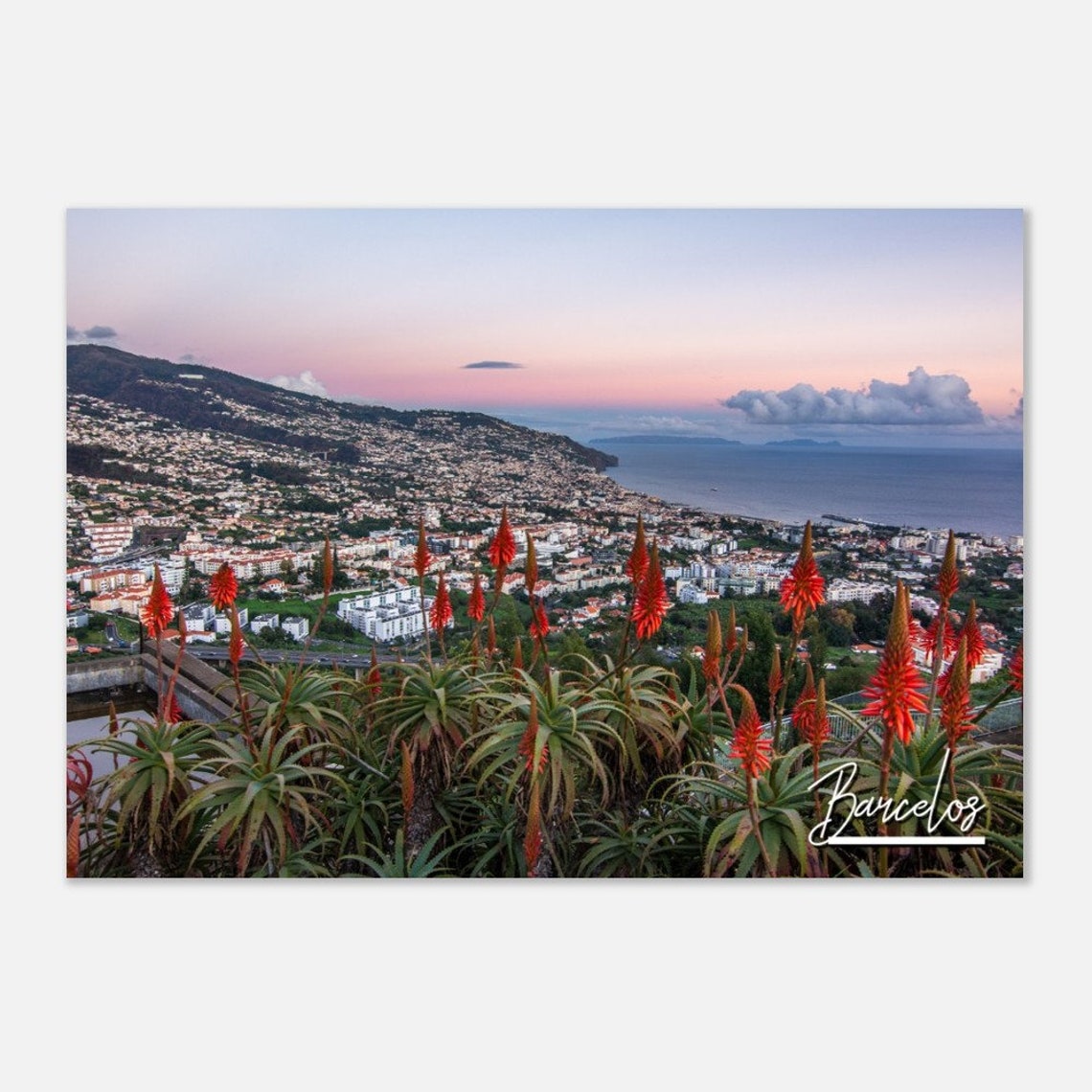 Barcelos Portugal Skyline Poster Print Travel Home Decor