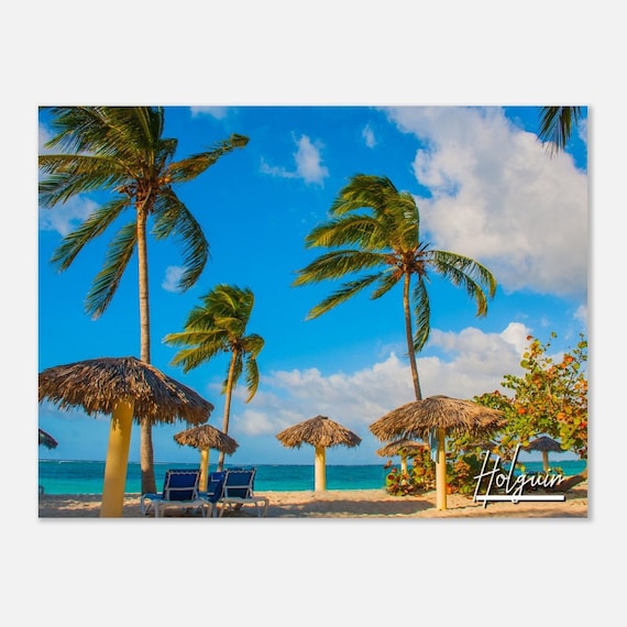 Holguin Tropical Beach Palm Trees Thatched Umbrellas Photo Poster