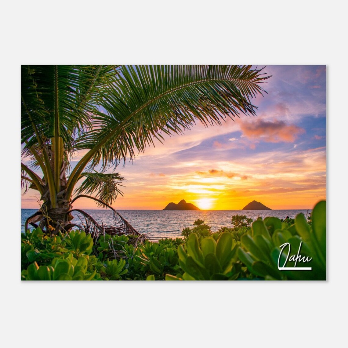 Oahu Hawaii Tropical Sunset Palm Fronds Ocean Islands Travel Poster