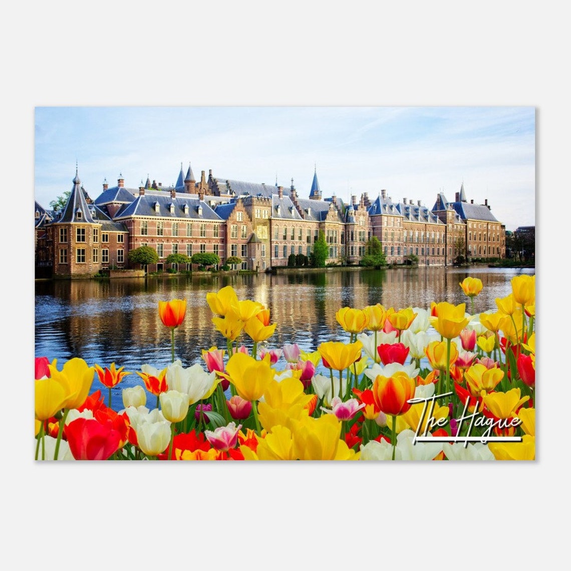 The Hague Netherlands Poster Print Cityscape Tulips