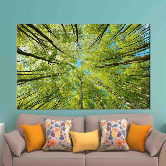Green Forest Canopy Looking Up Tall Trees Sunshine Photo Wall Poster
