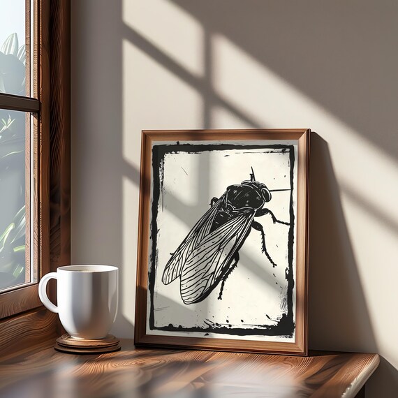 Cicada Insect Ink Drawing Poster Black White Vintage Entomology Art