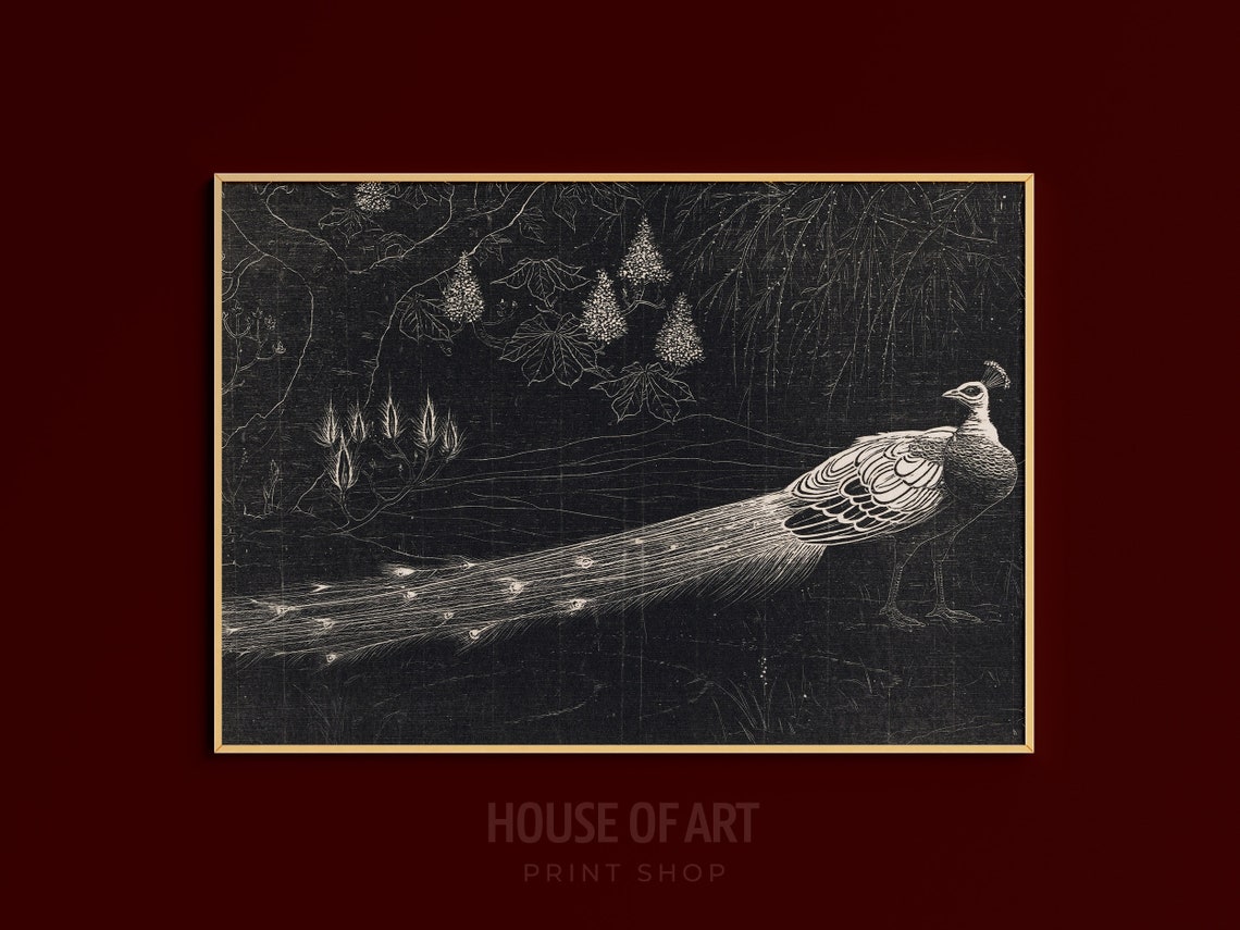 Peacock Night Garden Black White Woodcut Lithograph Bird Poster - Image 3