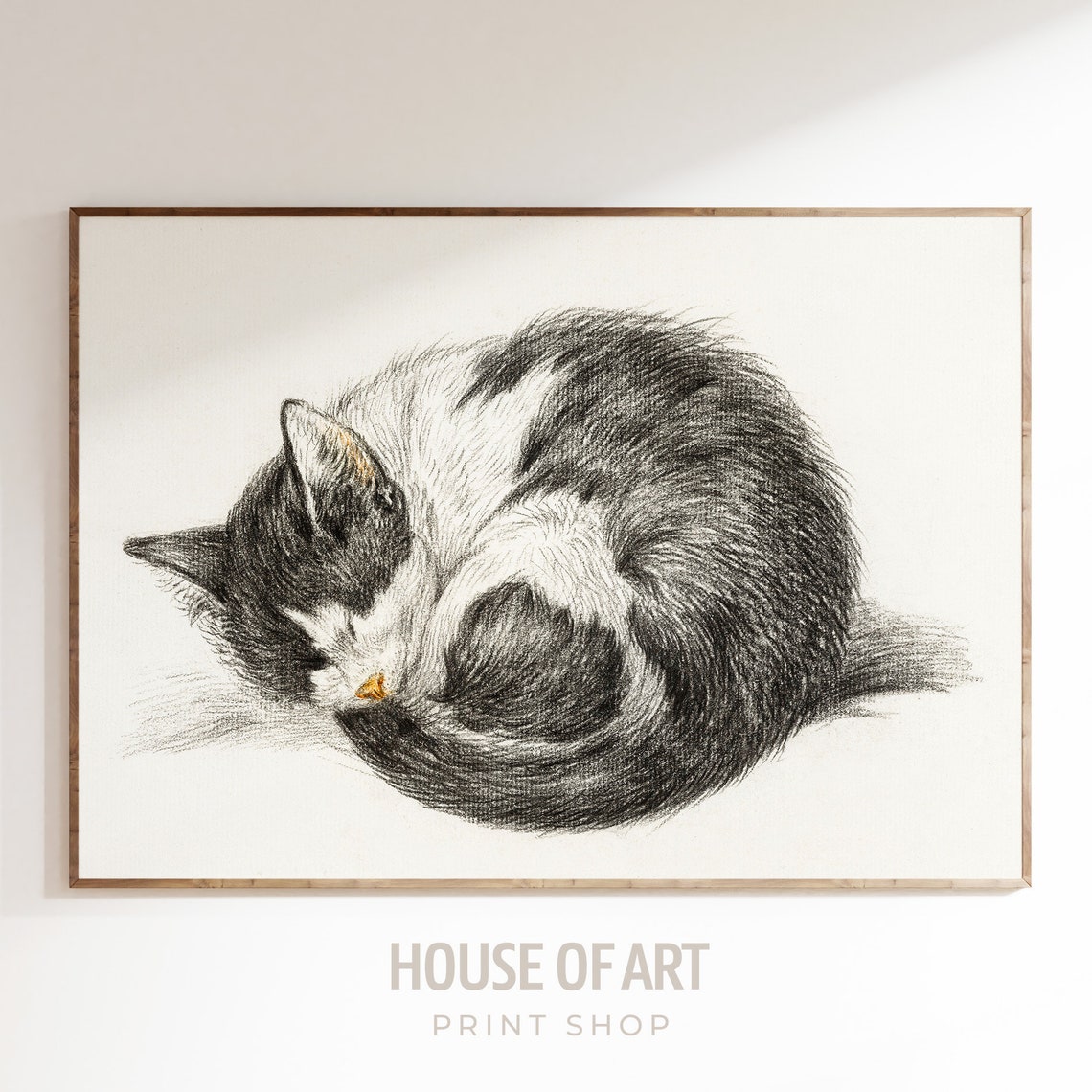Sleeping Tabby Cat Curled Up Vintage Charcoal Sketch Wall Art Poster