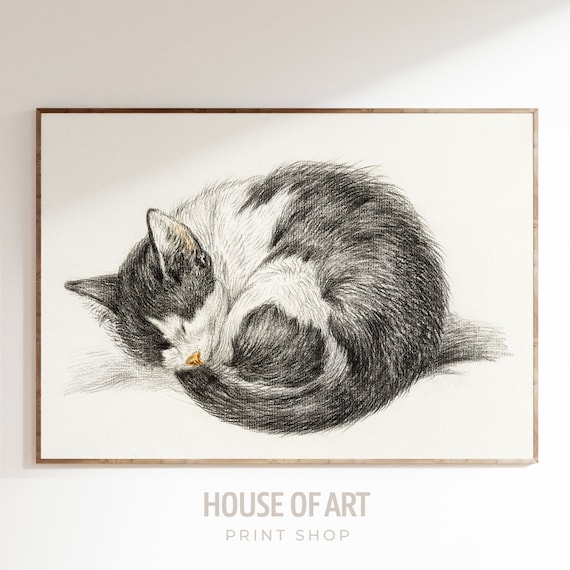 Sleeping Tabby Cat Curled Up Vintage Charcoal Sketch Wall Art Poster