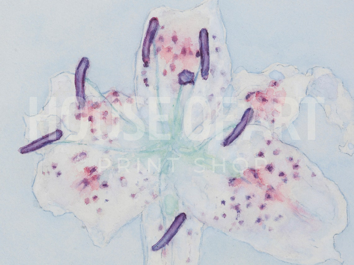 Delicate Lily Watercolor Pastel Flower Study Soft Botanical Art Print - Image 2