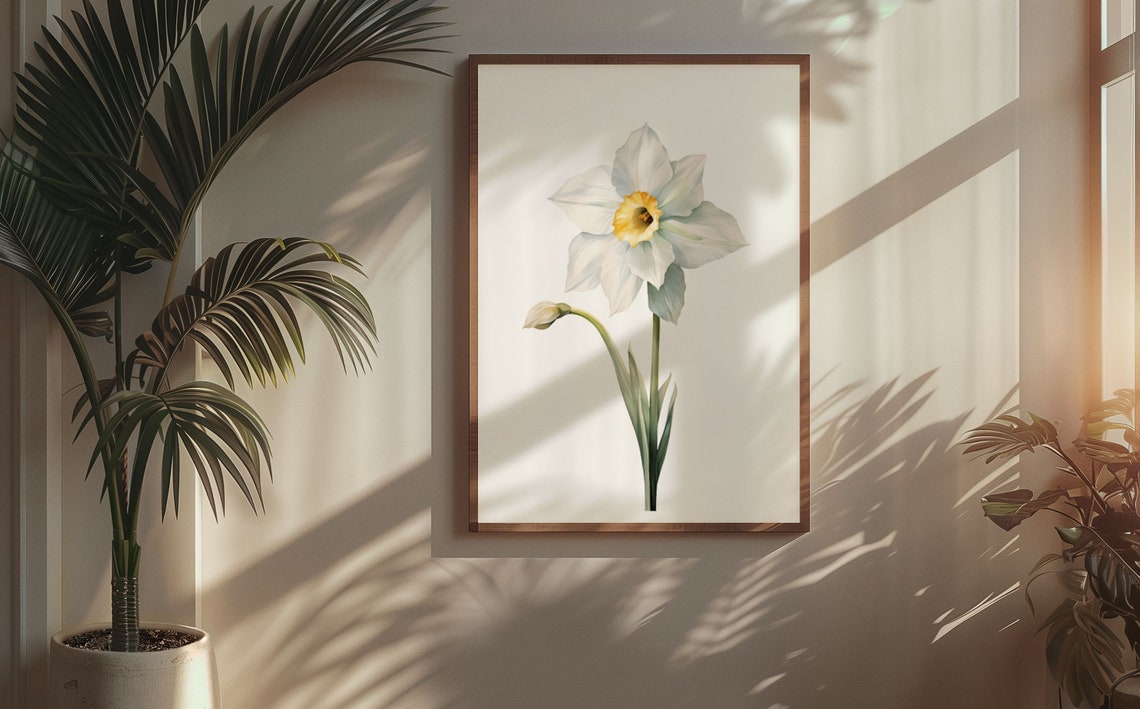 White Daffodil Spring Bloom Watercolour Botanical Flower Poster - Image 5