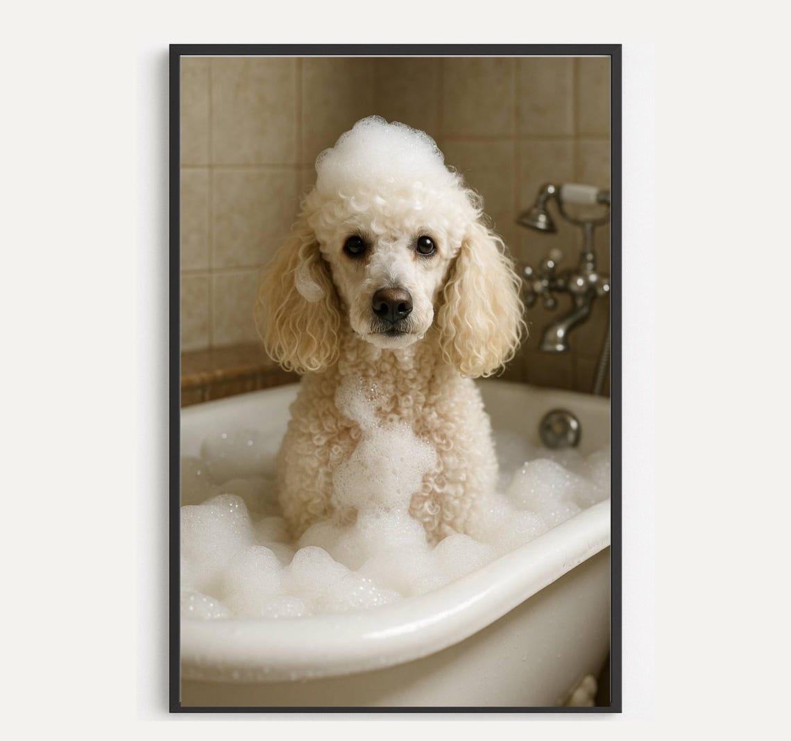 White Poodle in Bubble Bath with Soap Suds Funny Dog Art Poster