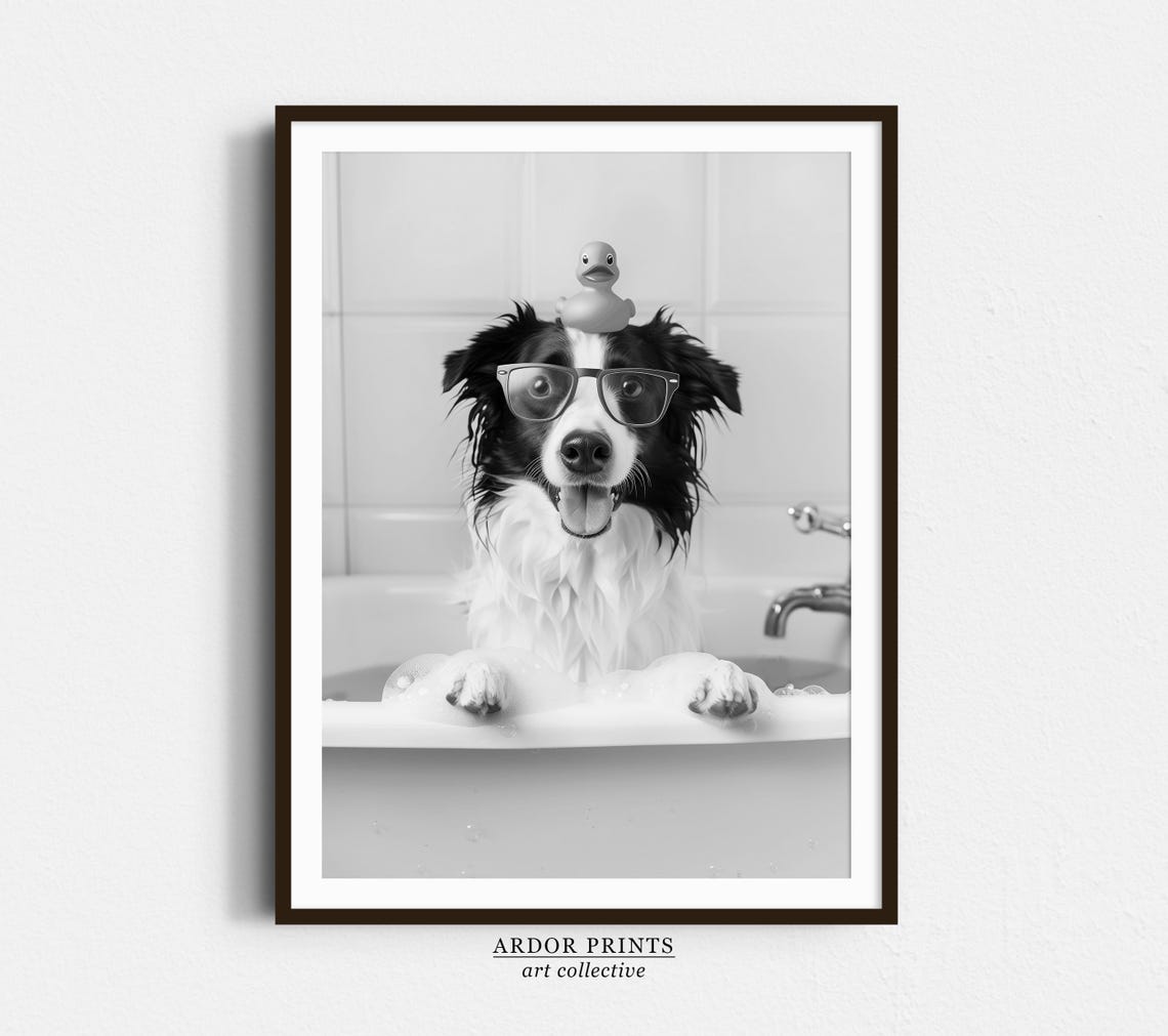Border Collie In Bubble Bath With Rubber Duck Funny Dog Poster