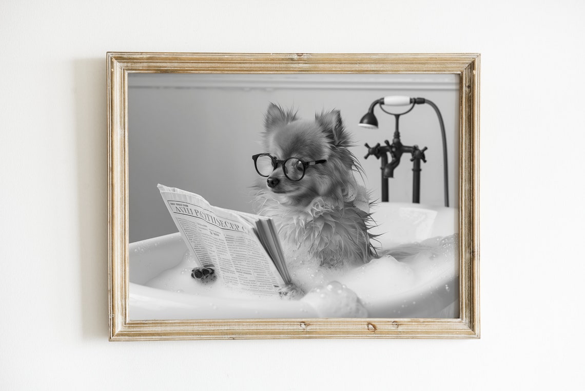 Pomeranian Reading Newspaper in Bubble Bath Black and White Poster - Image 3