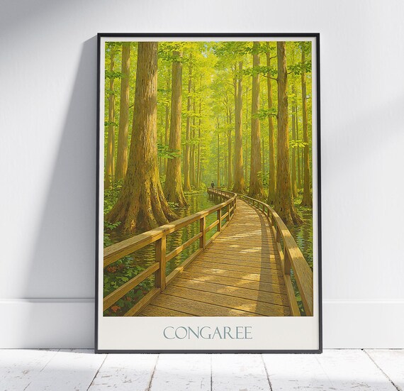 Congaree National Park Boardwalk Cypress Swamp Travel Art Poster