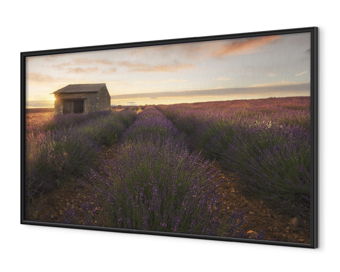 Provence Lavender Field Sunset Stone Hut France Countryside Poster - Image 4