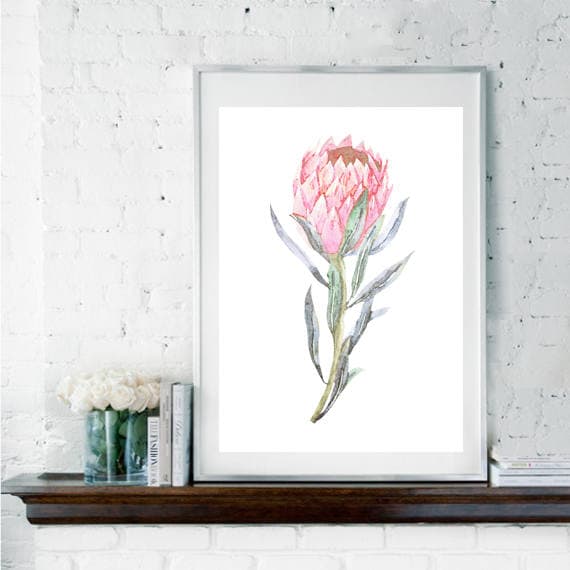 Protea Print Tropical Art Botanical Print Tropical Wall Decor Botanical Gift Scandi Decor Floral Decor Pink Flower Nursery Decor