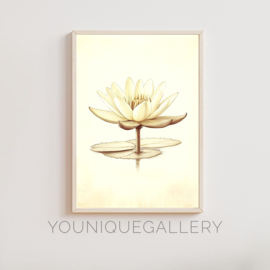 White Water Lily Botanical Illustration Minimalist Floral Poster