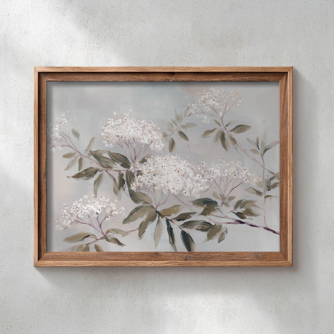 Printed White Hydrangea Blooms, Vintage Botanical Art Print