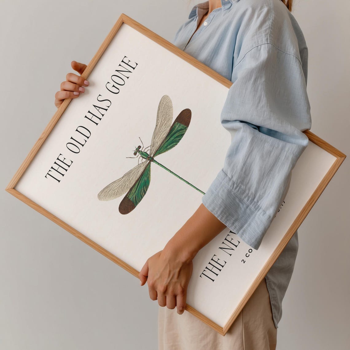 The Old Has Gone The New Has Come 2 Corinthians 5 17 Damselfly Poster - Image 3