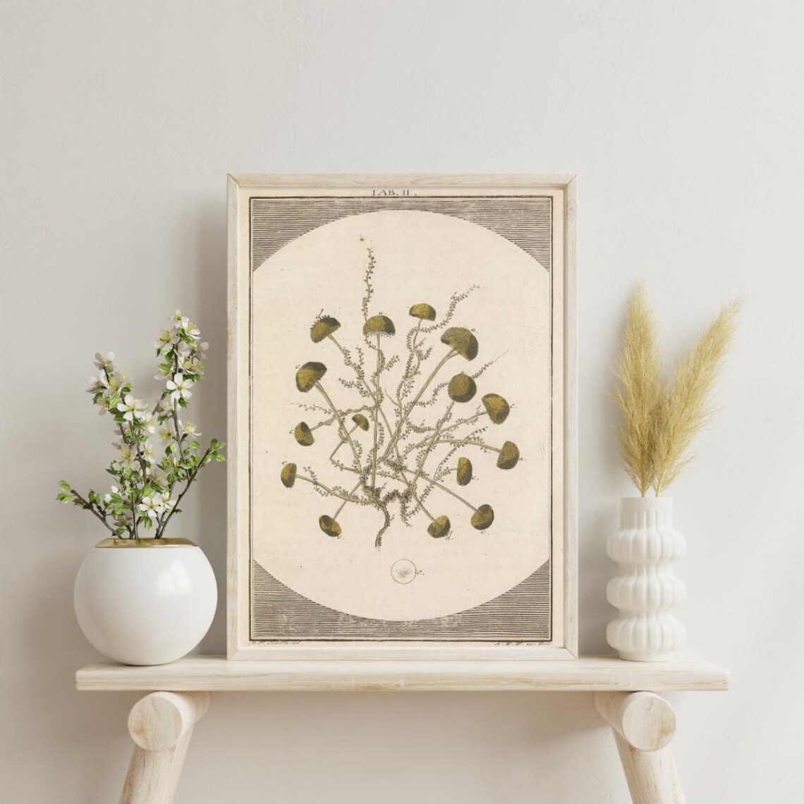 Mushroom Drawing Vintage Botanical Art Print - Image 3
