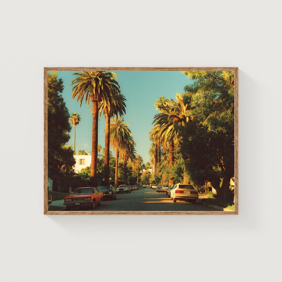 Los Angeles Palm Tree Lined Street Golden Hour Vintage Photo Poster