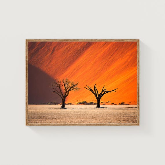 Deadvlei Namibia Print Minimalist Desert Photography Tree Silhouette