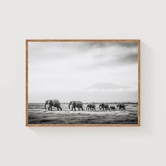 Elephant Family Print Kilimanjaro African Wildlife Photography