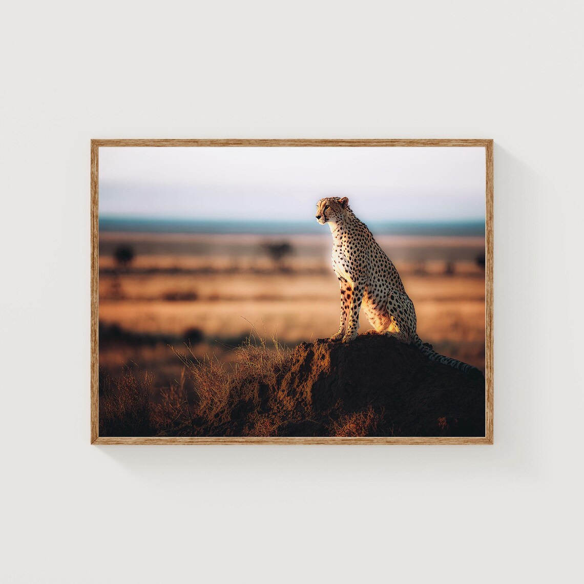 Cheetah Fine Art Print African Savannah Wildlife Photography