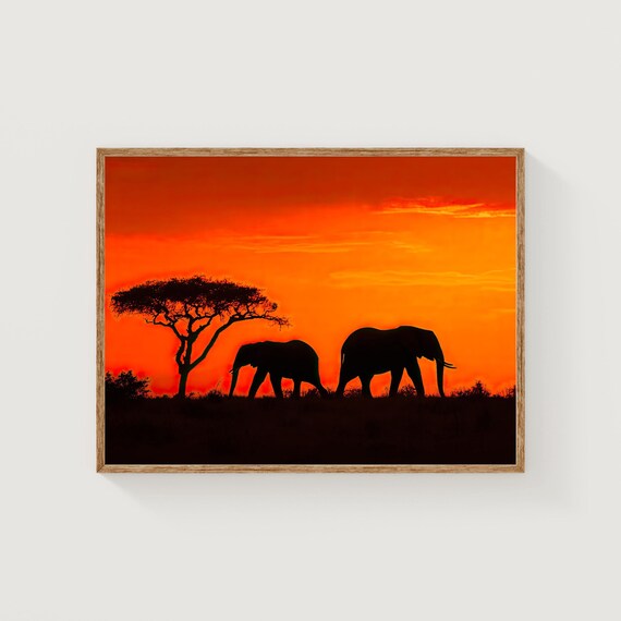 Elephant Sunset Art Print African Safari Wildlife Photography