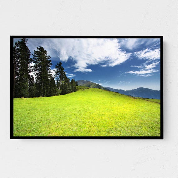 Real Photo Tranquil Mountain Meadow Serene Landscape Photography