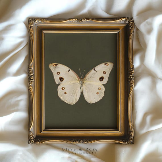 White Butterfly Print Insect Vintage Prints Antique Cottagecore Pink Decor Neutral Boho Moth Painting Wall Art Prints