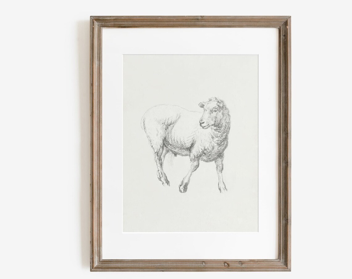 Minimalist Sheep Sketch Antique Neutral Line Drawing Animal Wall Art