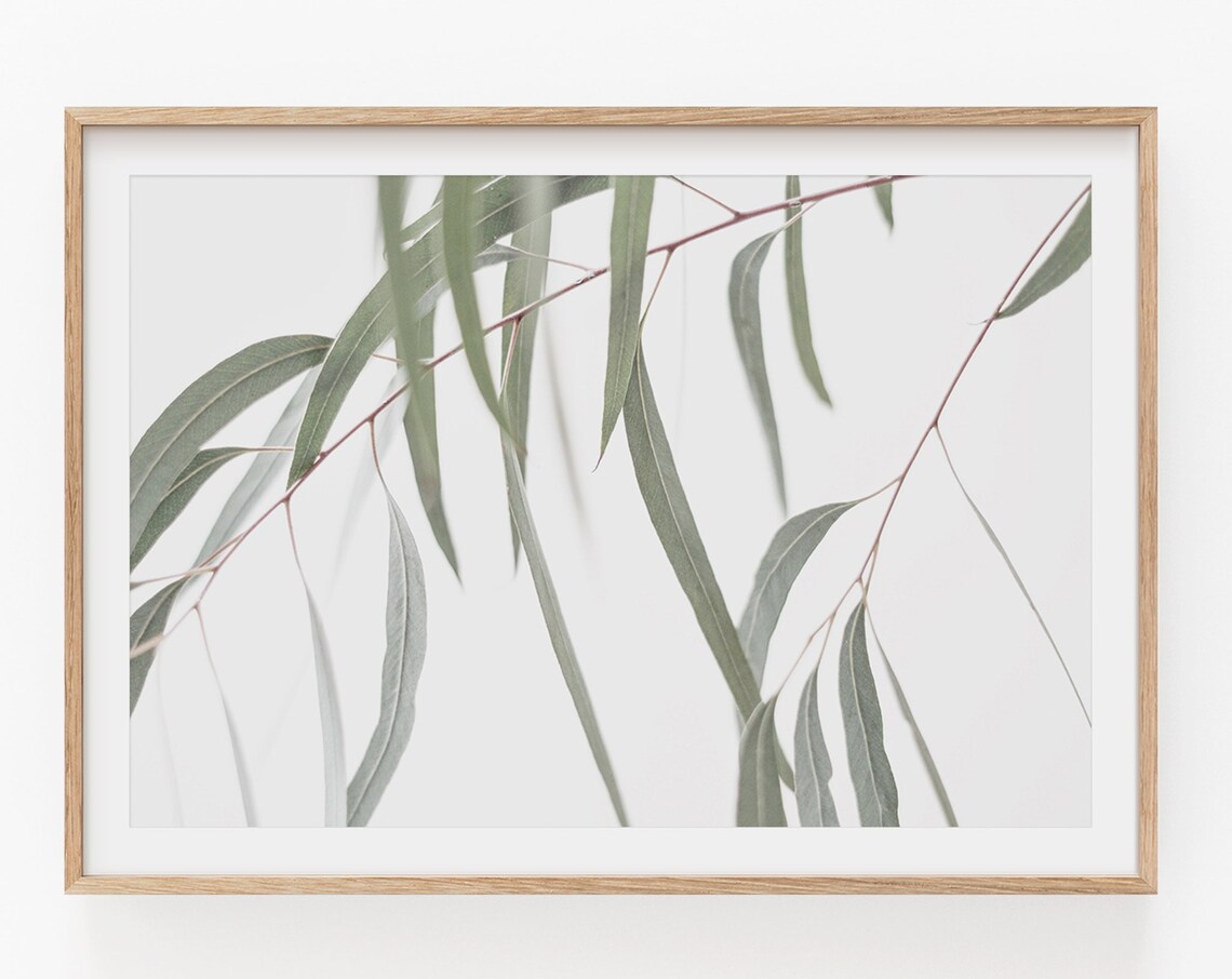Eucalyptus Botanical Farmhouse Art Print, Horizontal - Image 4