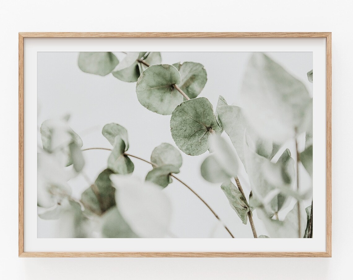 Eucalyptus Horizontal Botanical Poster Print - Image 4