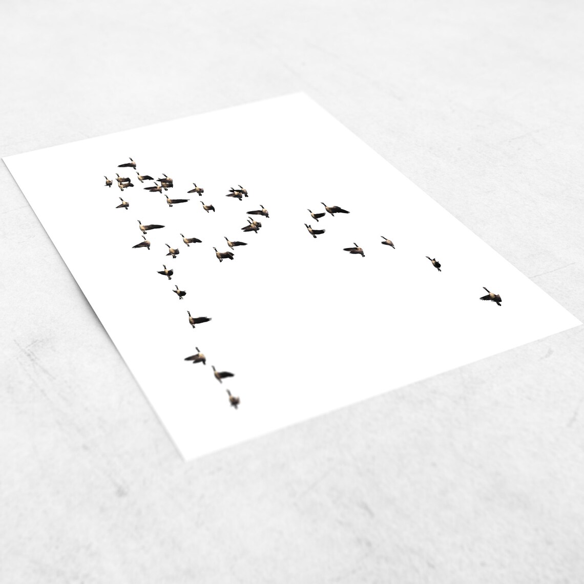 Flying Birds Minimalist Scandinavian Art Print - Image 2