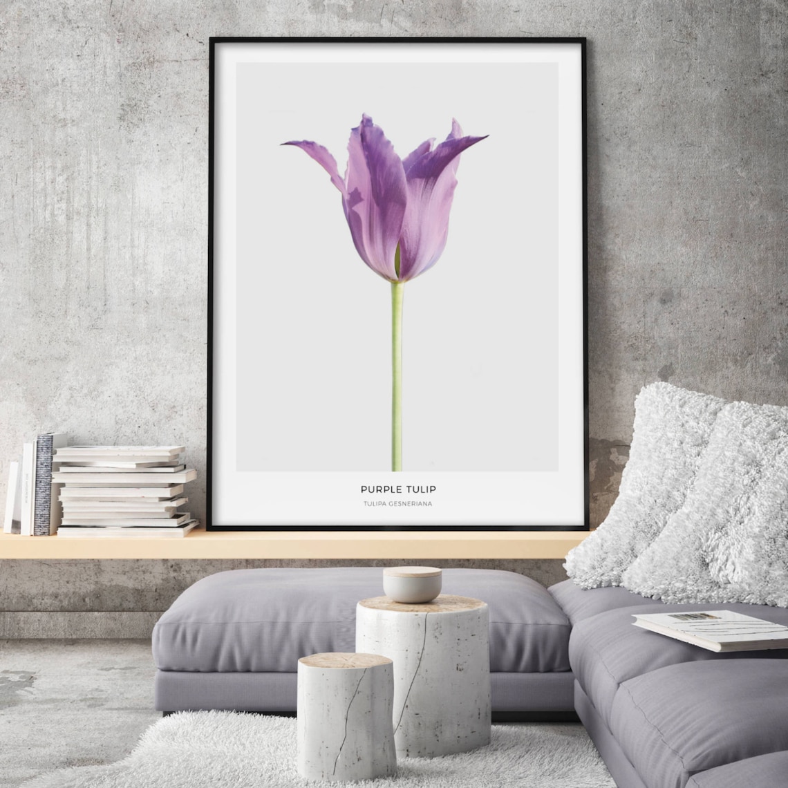Purple Tulip Tulipa Gesneriana Elegant Floral Photography Poster - Image 3