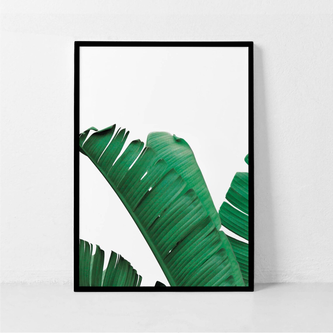Banana Leaf Green Botanical Photo Print for Modern Home Decor