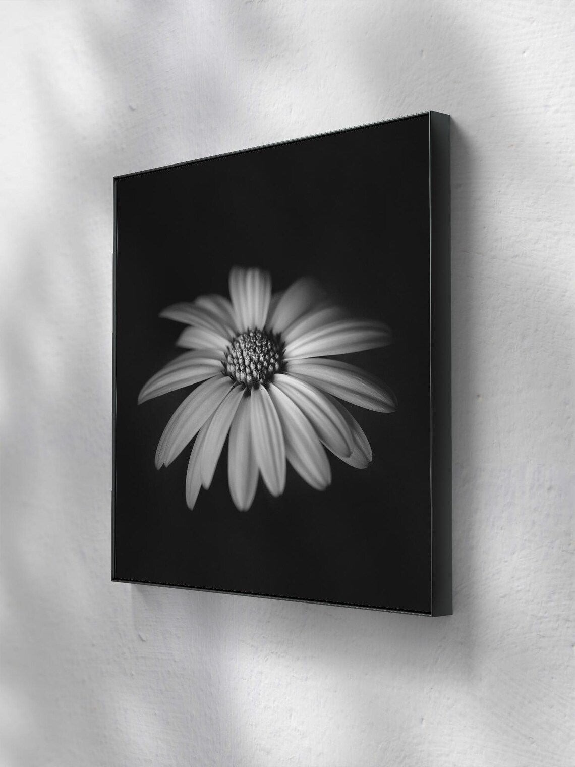 Black And White Daisy With Depth, Elegant Floral Art - Image 2